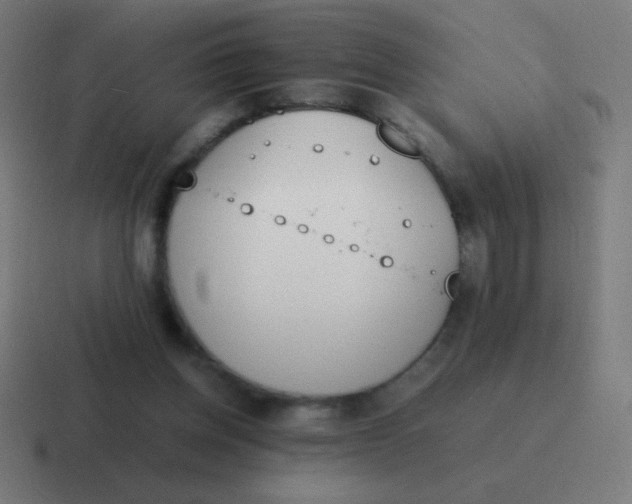 X0000116820158200912312022