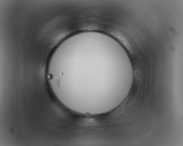 X0000116820159200912312022