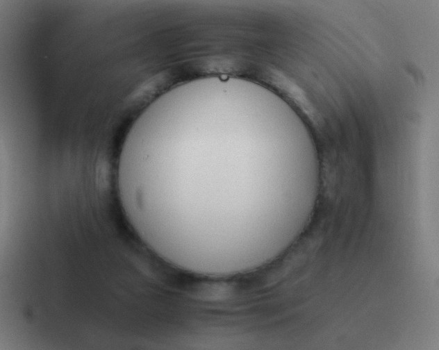 X0000116820161200912312022