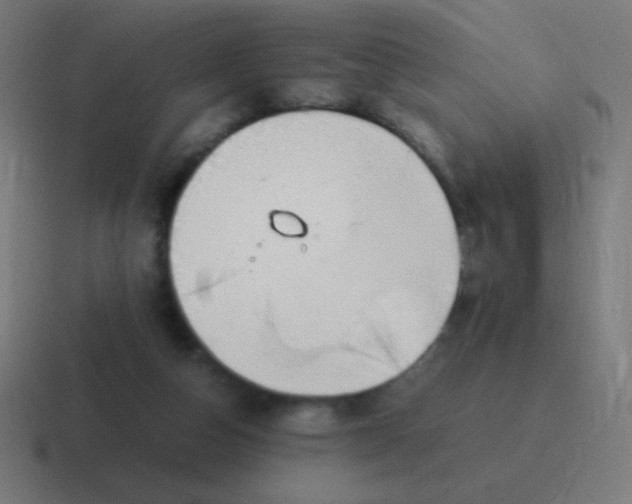 X0000116820162200912312022