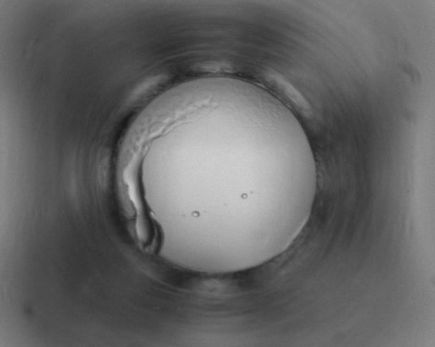 X0000116820163200912312022