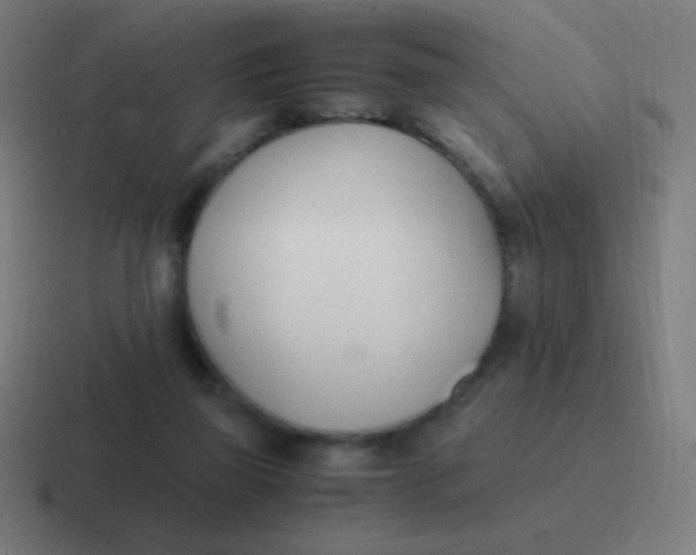 X0000116820165200912312022