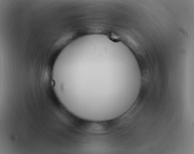 X0000116820166200912312022