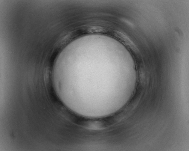 X0000116820169200912312022