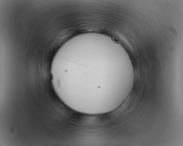 X0000116820170200912312022