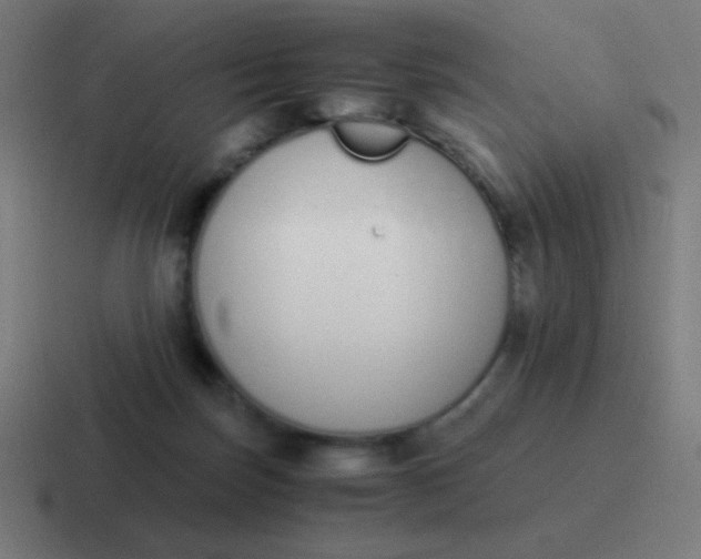 X0000116820171200912312022