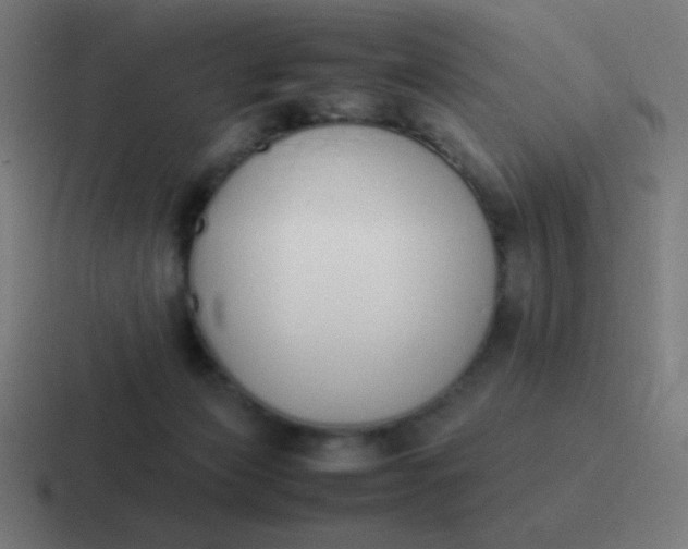 X0000116820173200912312022