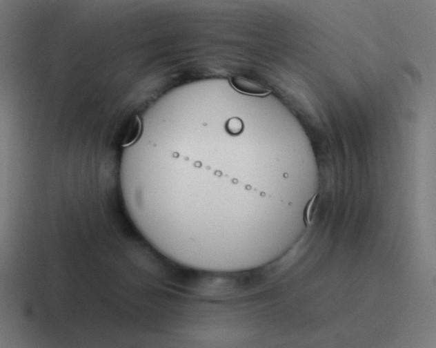 X0000116820174200912312022