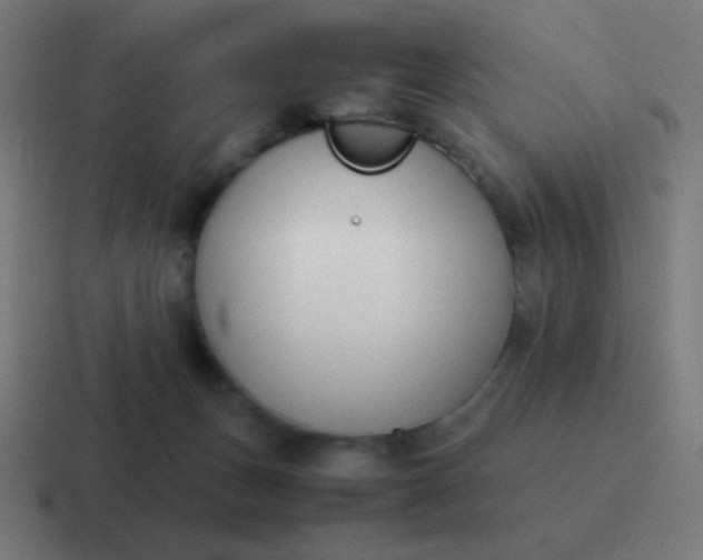 X0000116820175200912312022