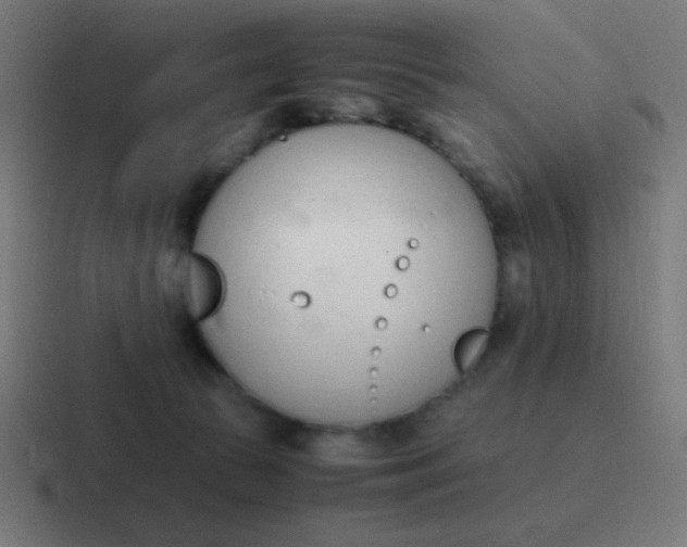 X0000116820177200912312022