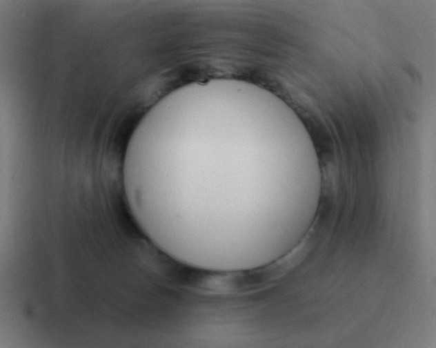 X0000116820178200912312022