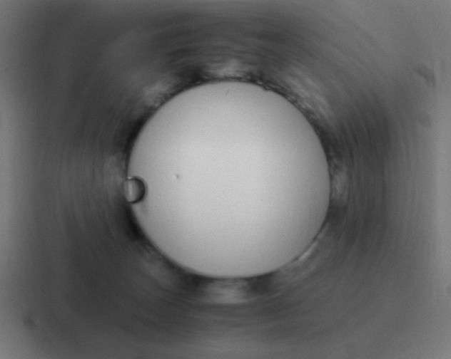 X0000116820179200912312022