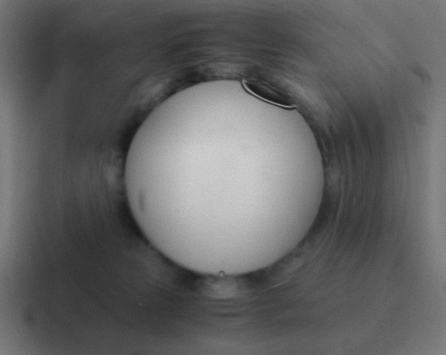 X0000116820181200912312022