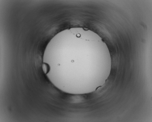 X0000116820183200912312023