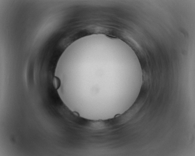 X0000116820189200912312023