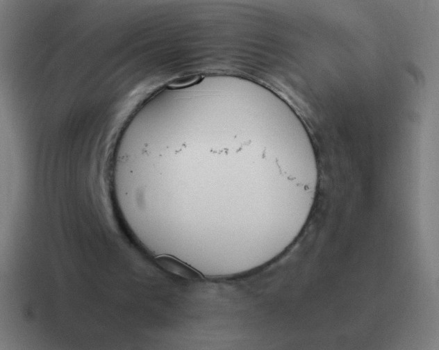 X0000116820193200912312022