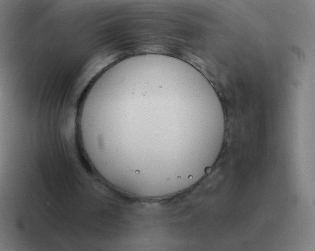 X0000116820194200912312022