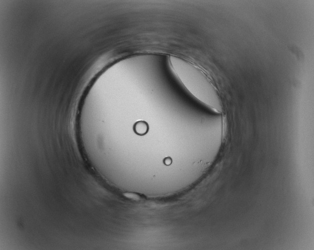 X0000116820195200912312022