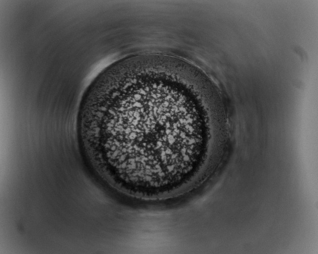 X0000116820196200912312022