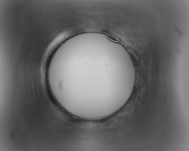 X0000116820197200912312022