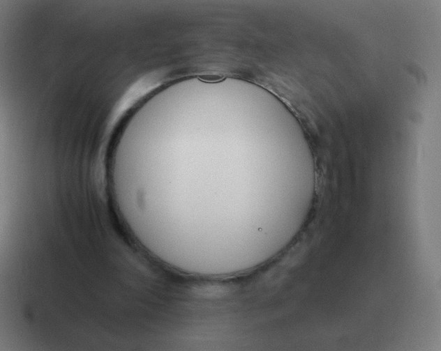 X0000116820198200912312022