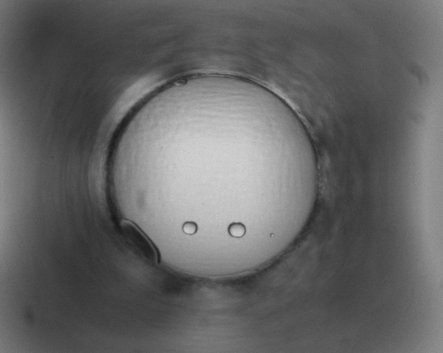 X0000116820199200912312022