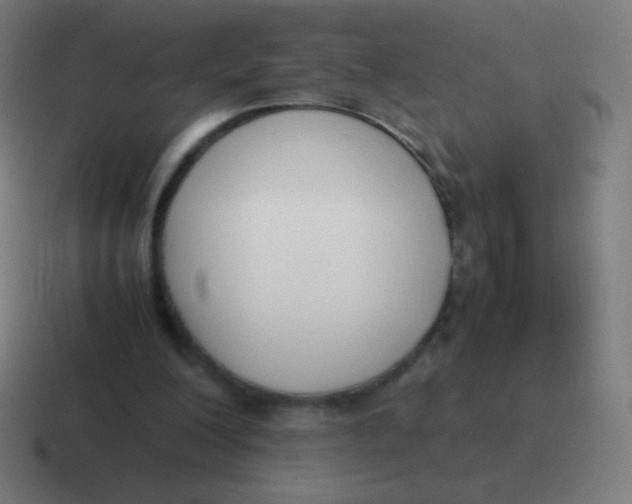 X0000116820200200912312022