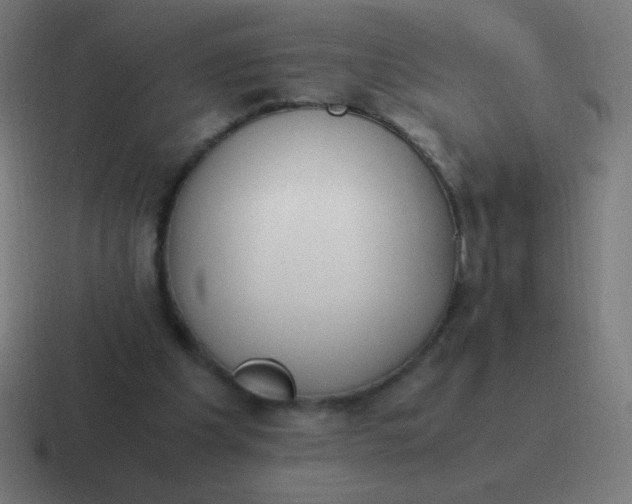 X0000116820201200912312022