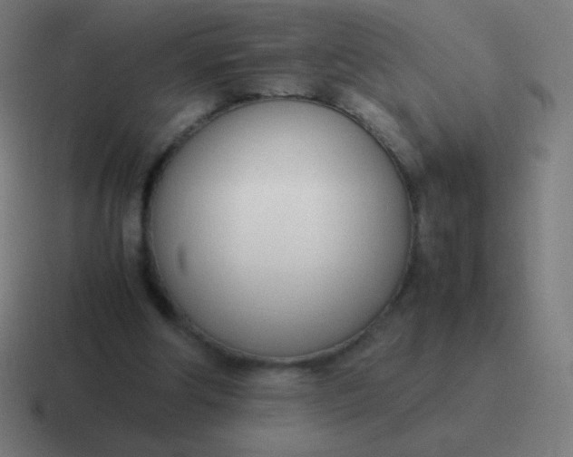 X0000116820202200912312022