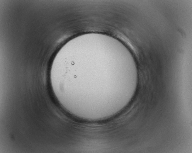 X0000116820203200912312022