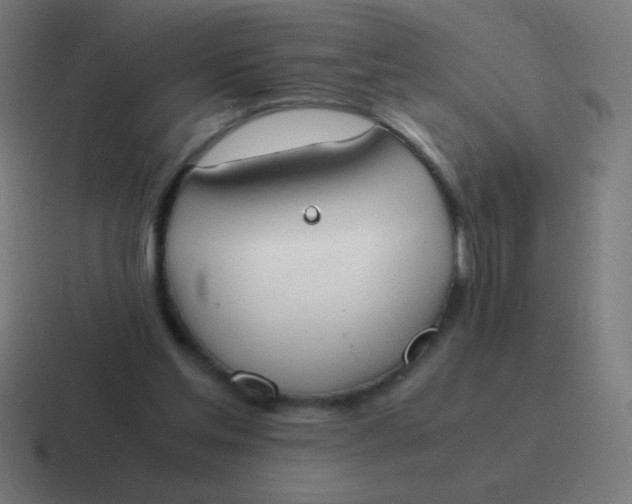 X0000116820205200912312022