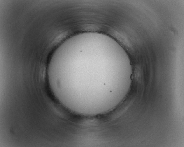 X0000116820206200912312022