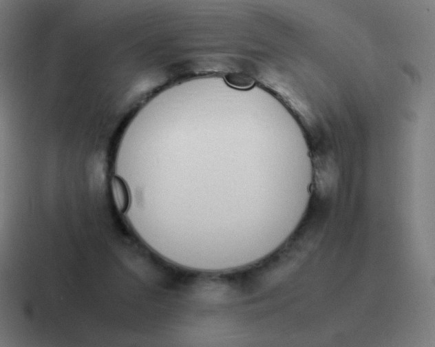 X0000116820207200912312022