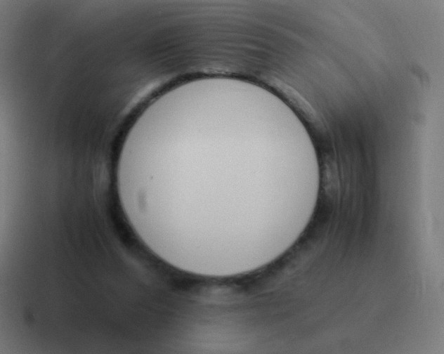 X0000116820208200912312022