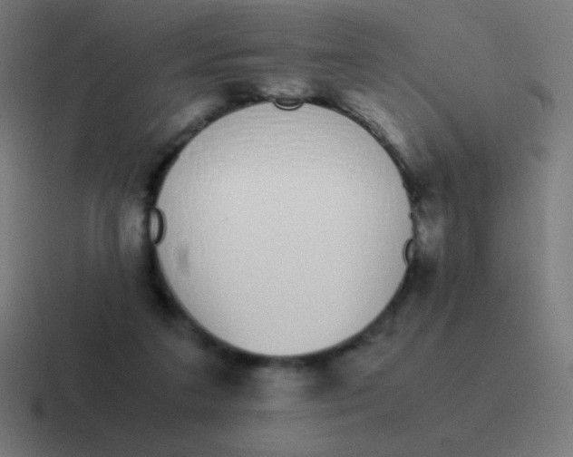 X0000116820211200912312022