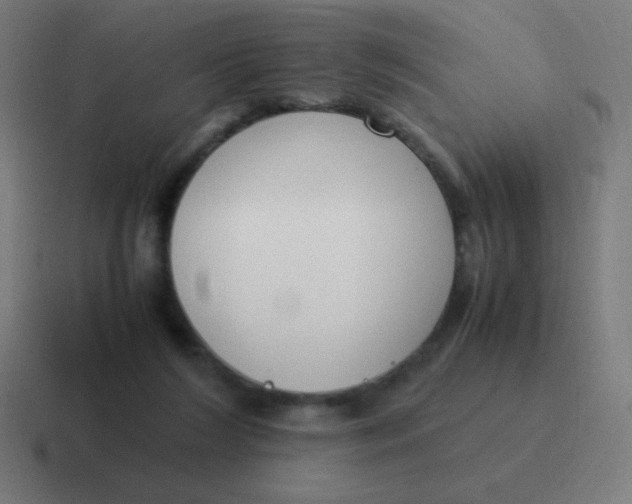 X0000116820212200912312022