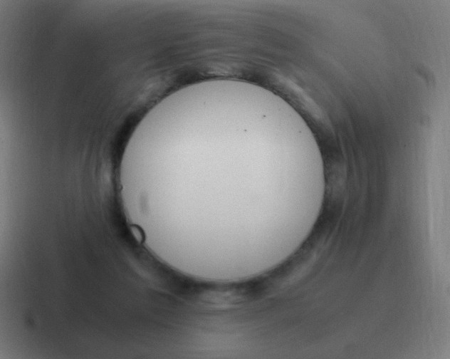 X0000116820213200912312022