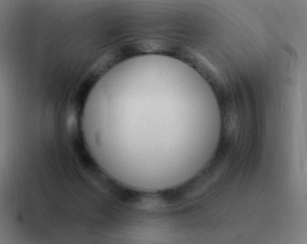 X0000116820214200912312022