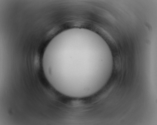 X0000116820216200912312022