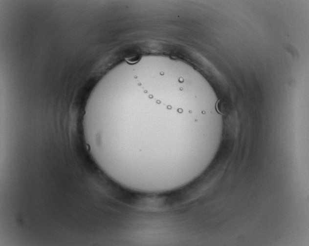 X0000116820217200912312022