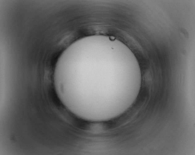 X0000116820218200912312022