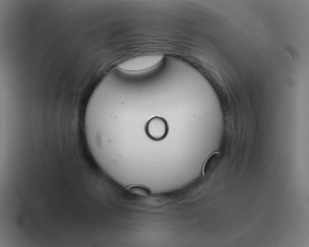 X0000116820221200912312022