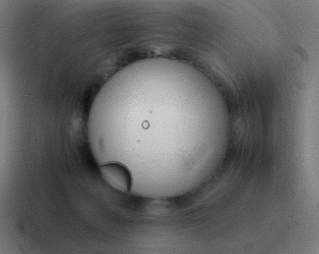 X0000116820222200912312022