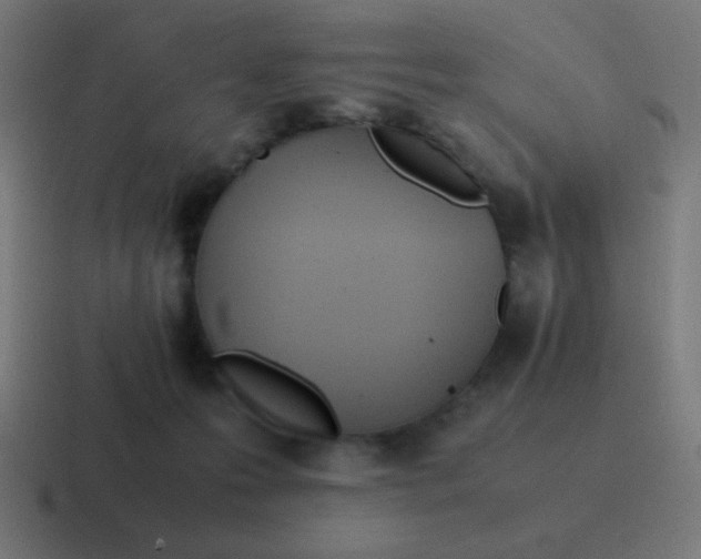 X0000116820223200912312022