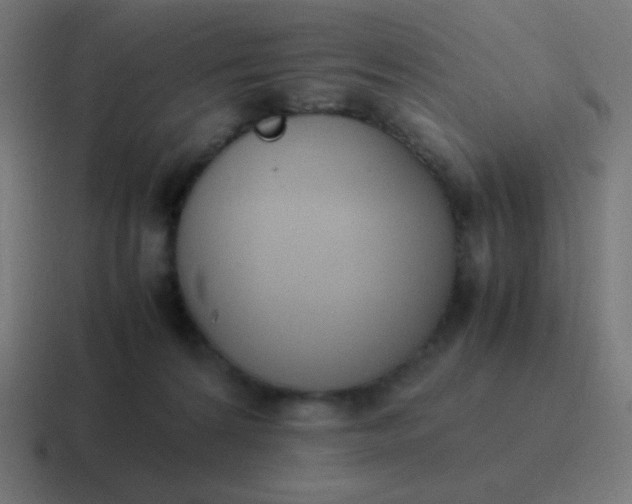 X0000116820224200912312022