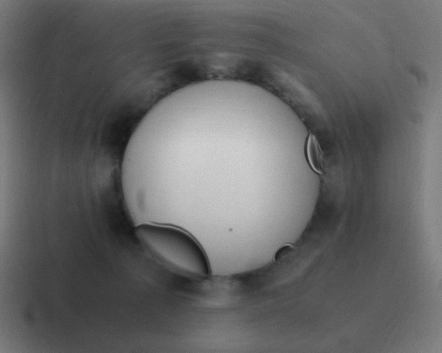 X0000116820225200912312022