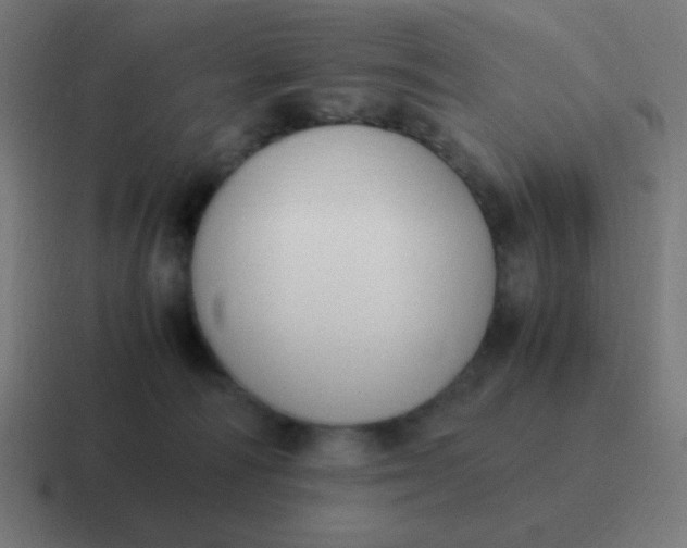 X0000116820226200912312022