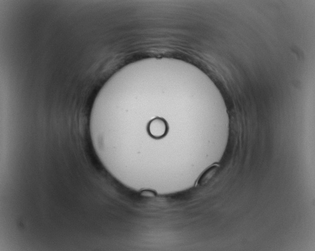 X0000116820227200912312022