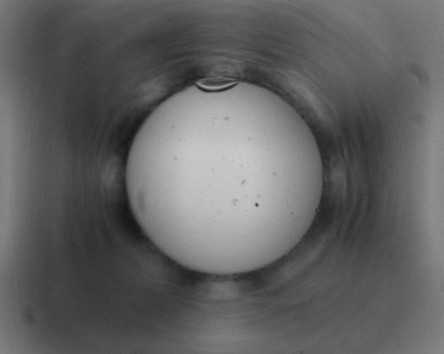 X0000116820228200912312022