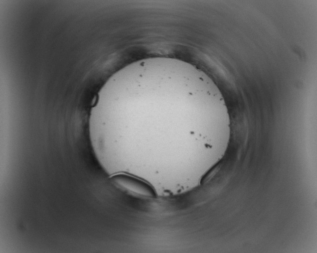 X0000116820229200912312022